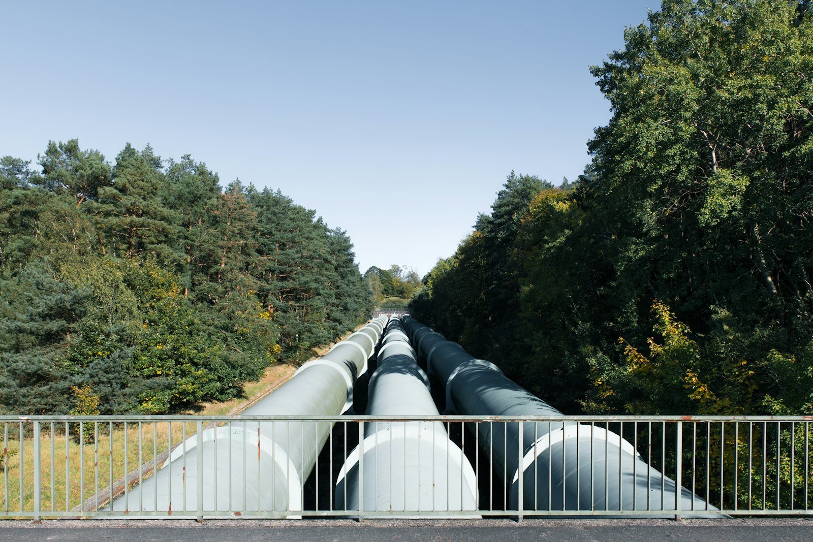 Large pipelines through a forest