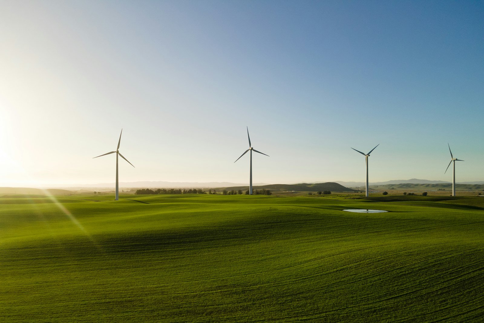 Wind turbines over a field